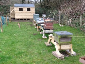 photo - shed up