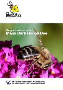 Quest for Manx Dark Honey bee